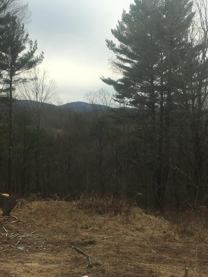 Cozy Cabin In The Catskills East Durham Ngoại thất bức ảnh